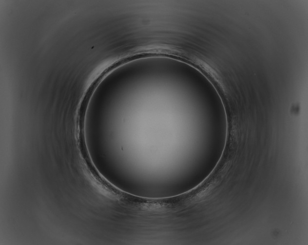 X0000091671082200708301454