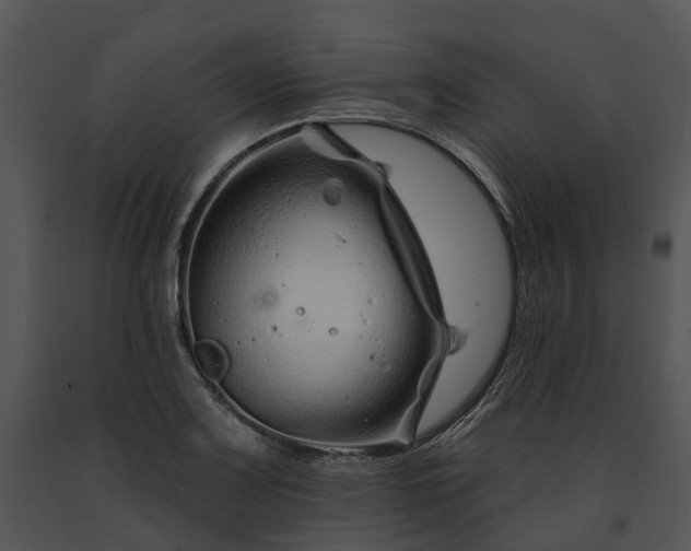 X0000091671083200708301454