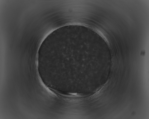 X0000091671084200708301454