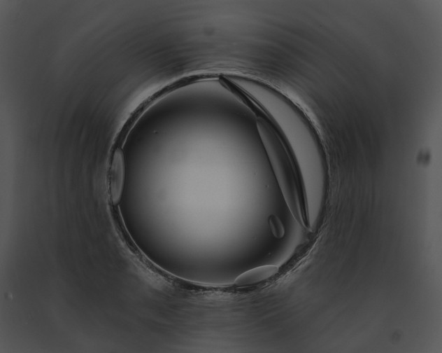 X0000091671085200708301454