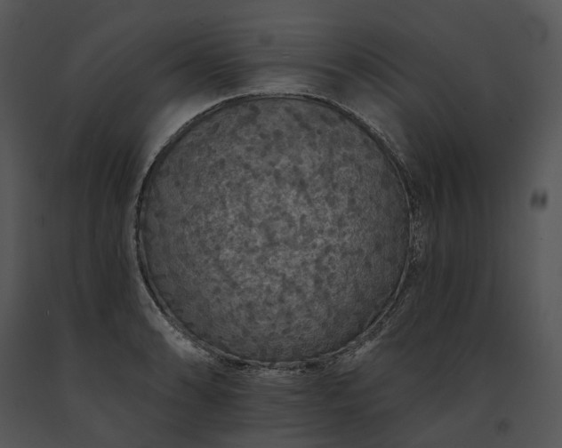 X0000091671086200708301454