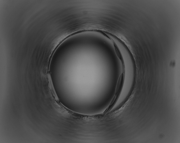 X0000091671089200708301454
