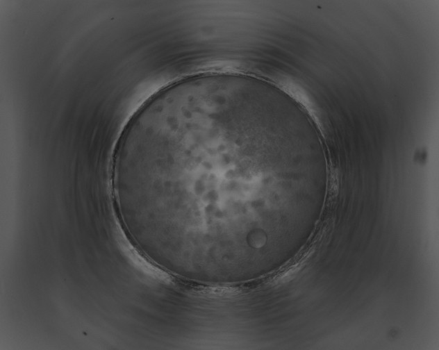 X0000091671090200708301454