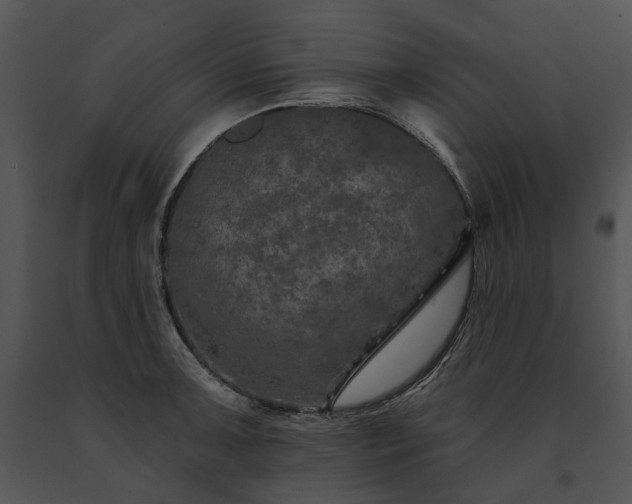 X0000091671091200708301454