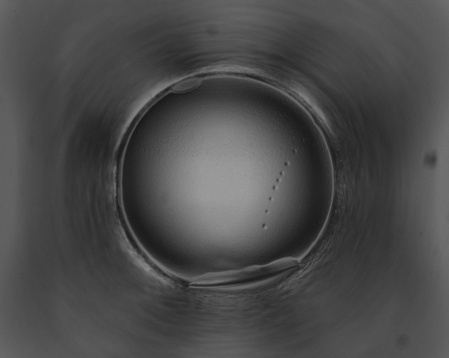 X0000091671092200708301454