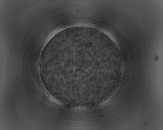 X0000091671094200708301454