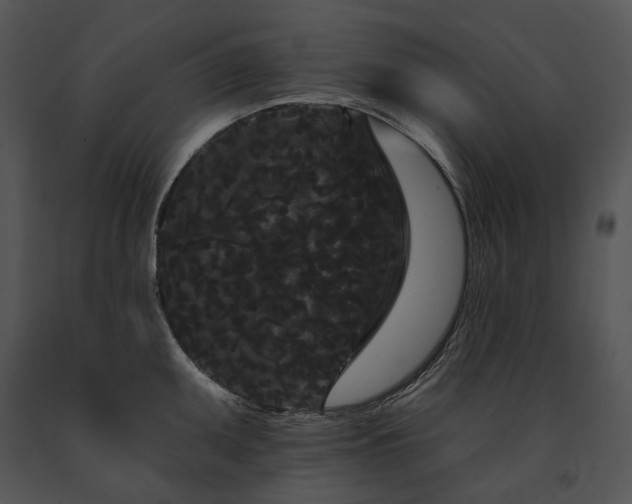 X0000091671095200708301454