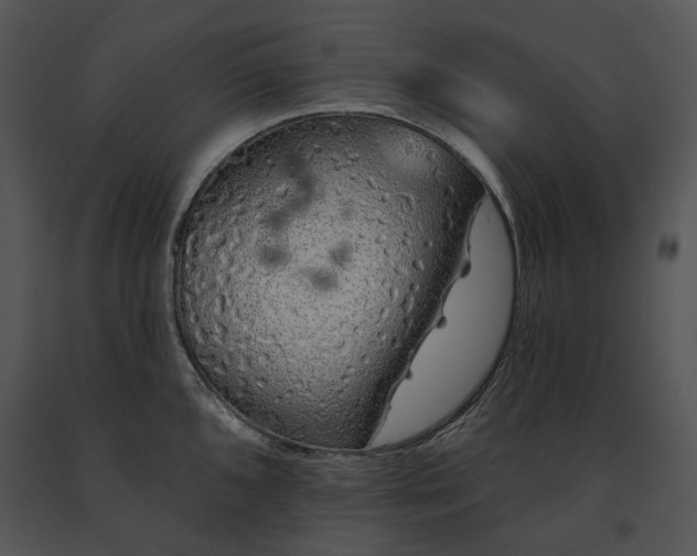 X0000091671096200708301454