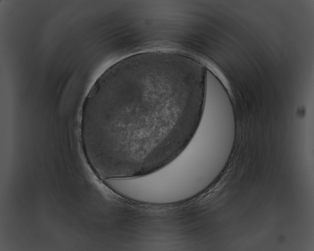 X0000091671099200708301454