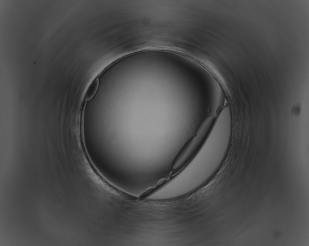 X0000091671100200708301454