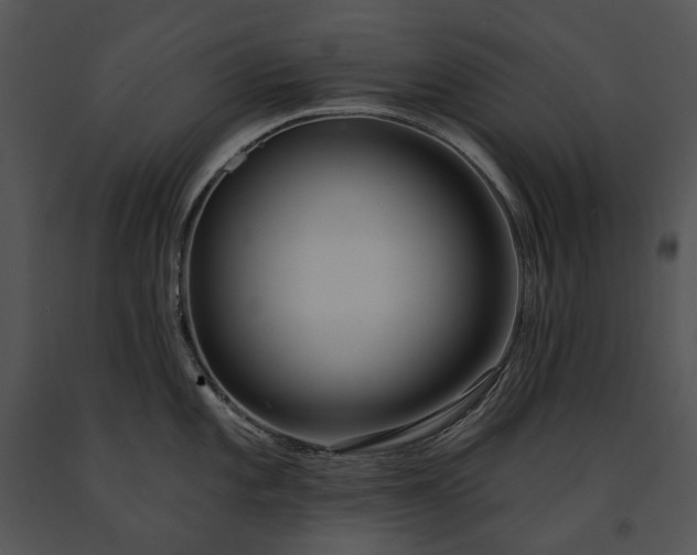 X0000091671101200708301454