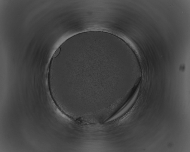 X0000091671102200708301454