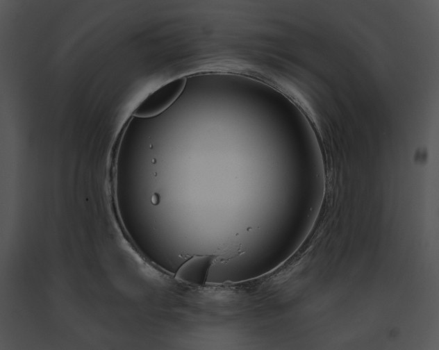 X0000091671103200708301454