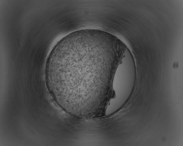 X0000091671104200708301454