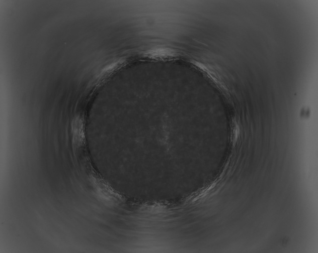 X0000091671106200708301453