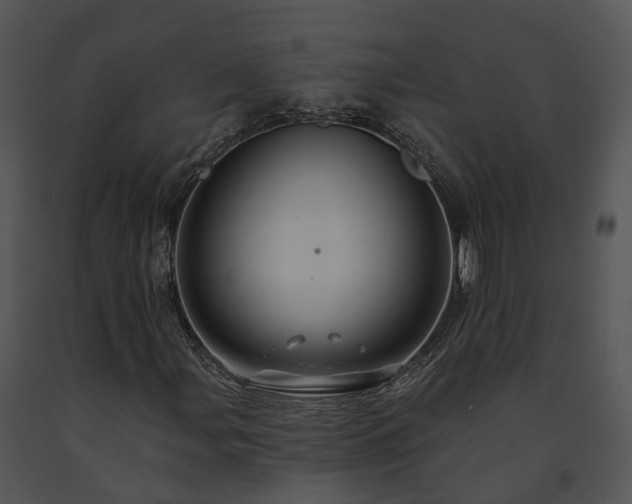 X0000091671107200708301453
