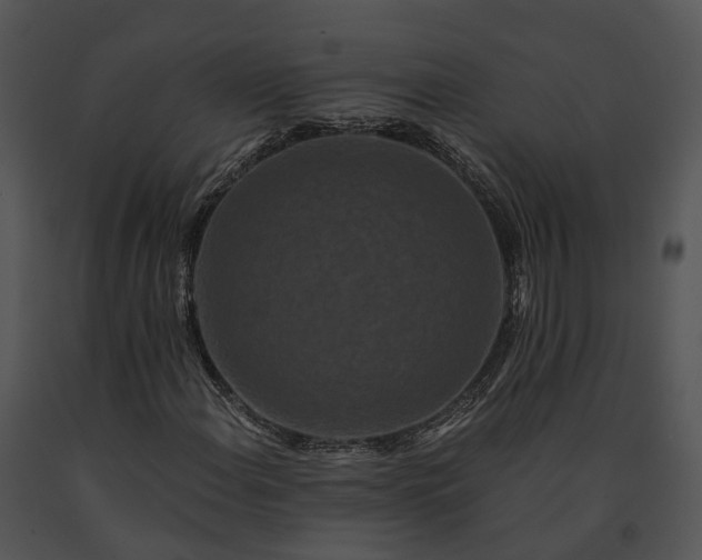X0000091671108200708301453