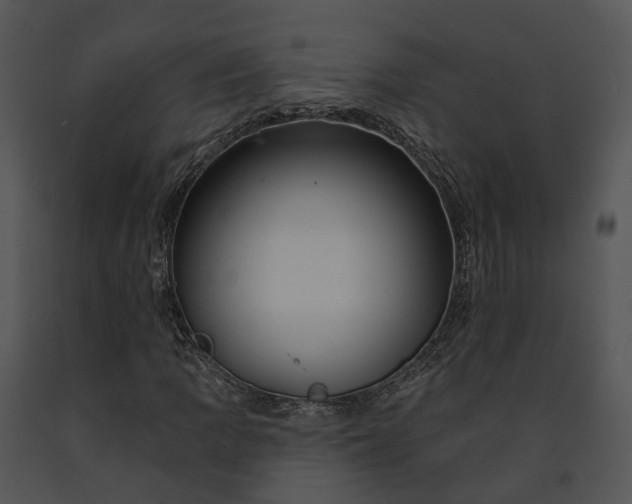 X0000091671109200708301453