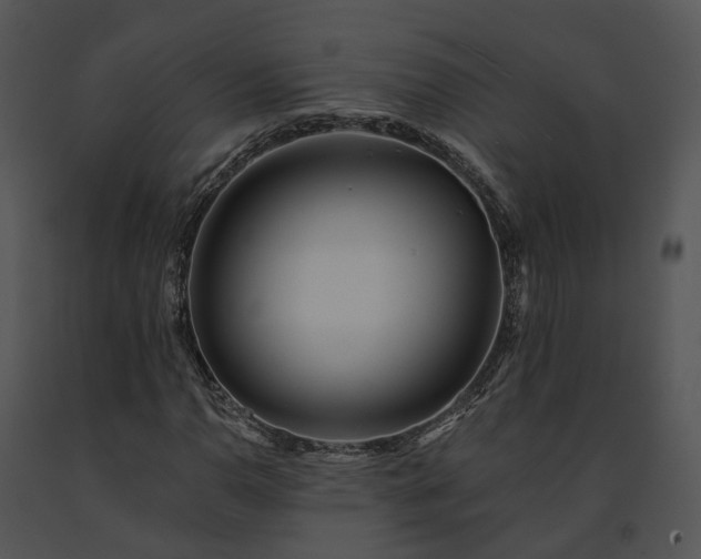 X0000091671110200708301453