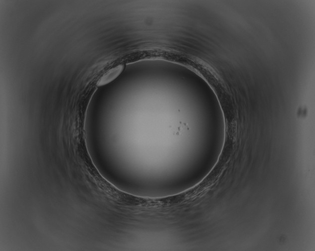 X0000091671111200708301453