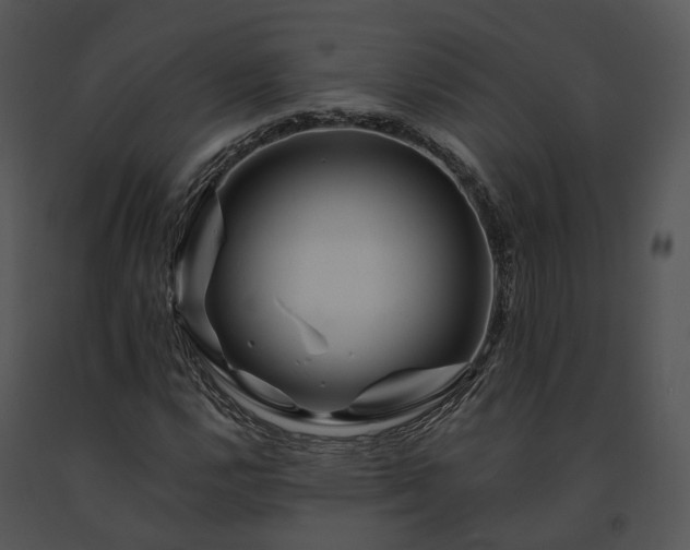 X0000091671112200708301454