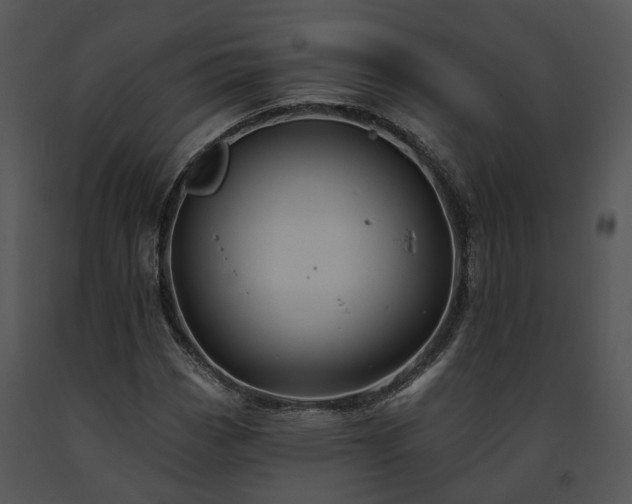 X0000091671113200708301454