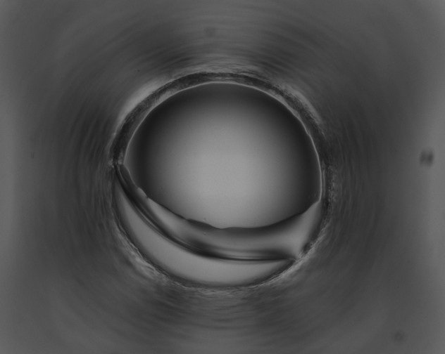 X0000091671114200708301454