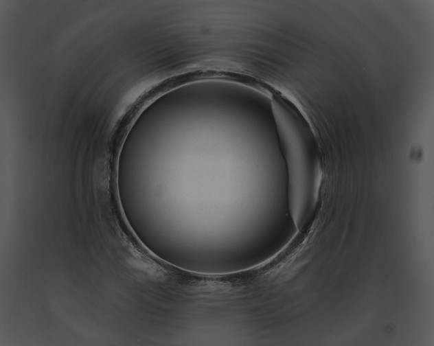 X0000091671115200708301454