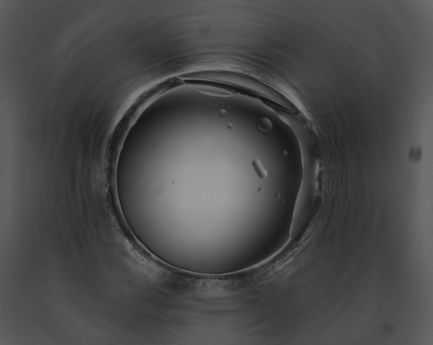X0000091671116200708301454
