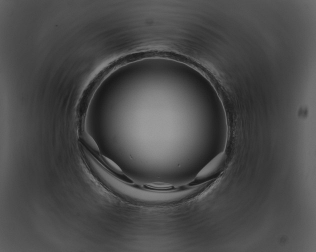 X0000091671118200708301454