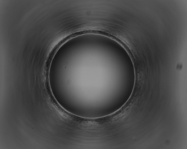X0000091671119200708301454