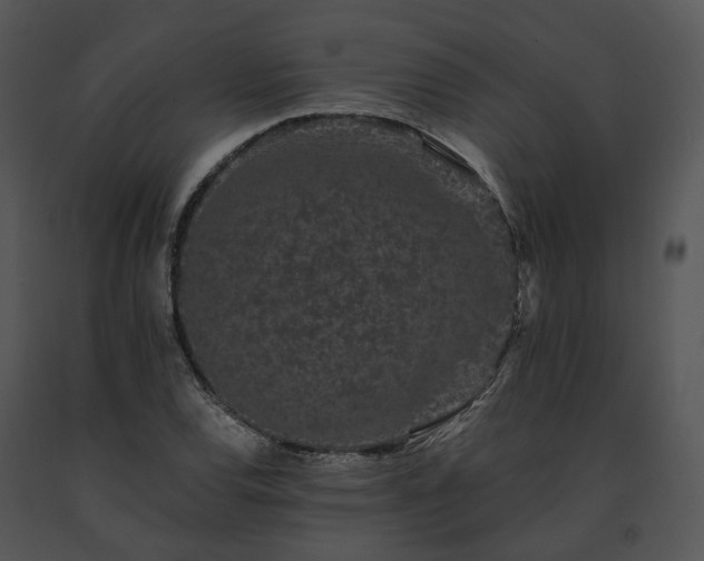 X0000091671120200708301454