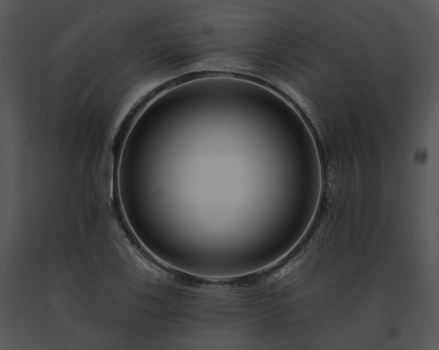 X0000091671123200708301454