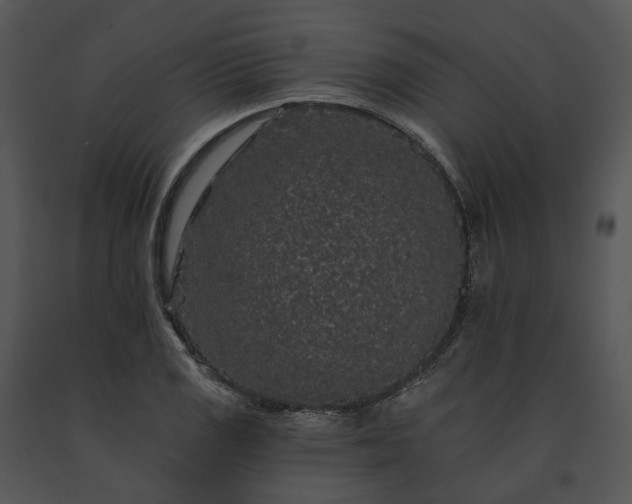 X0000091671125200708301454