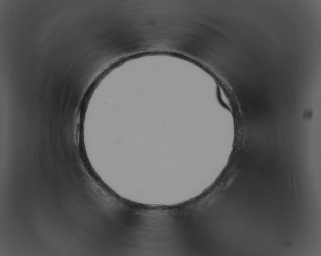 X0000091671126200708301454