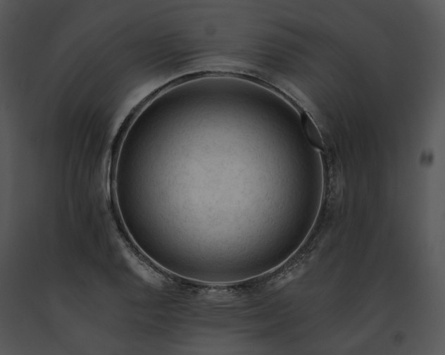 X0000091671128200708301454