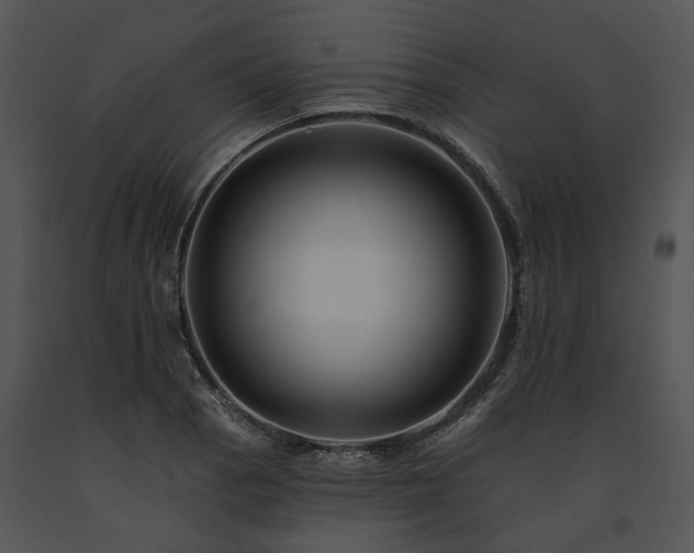 X0000091671129200708301454