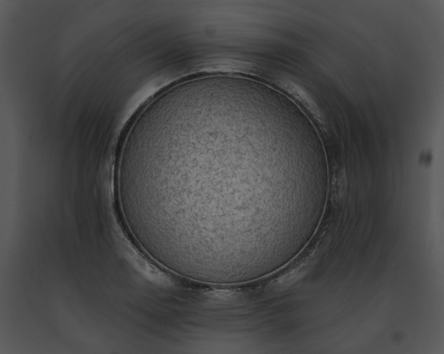 X0000091671130200708301454