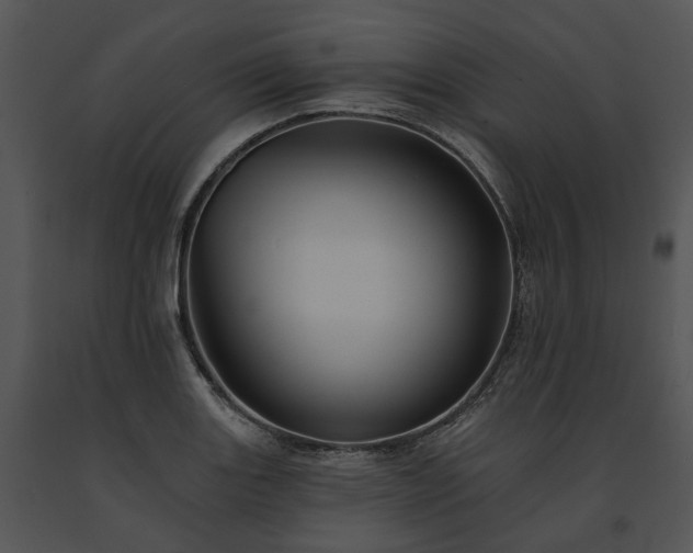 X0000091671131200708301454