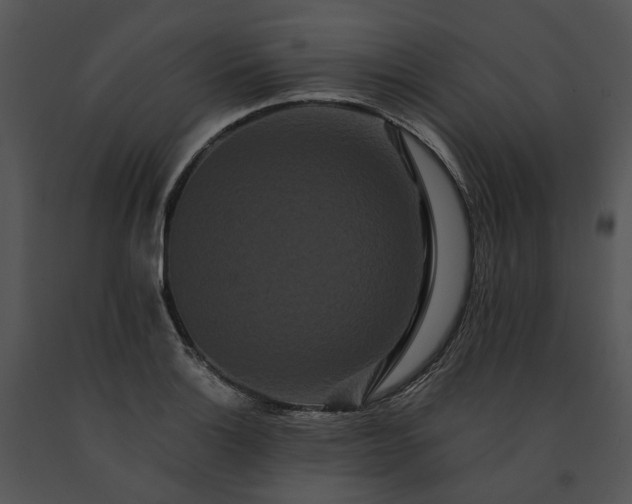 X0000091671132200708301454