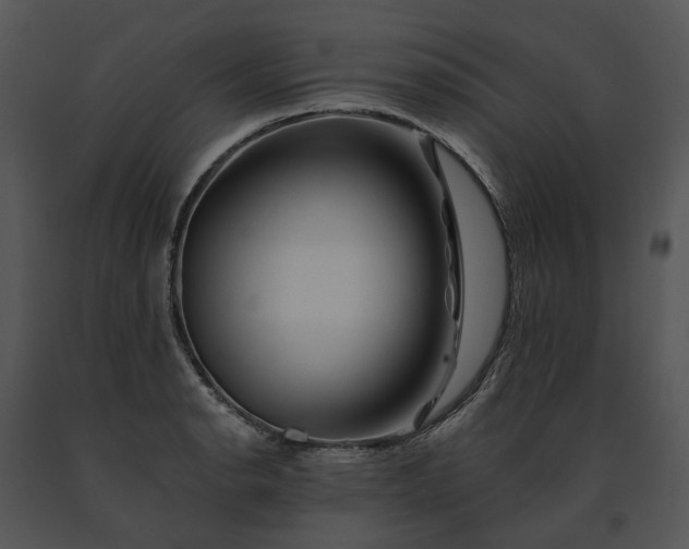 X0000091671134200708301454