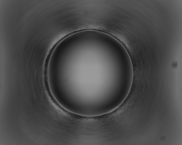 X0000091671135200708301454