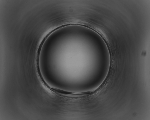 X0000091671136200708301454