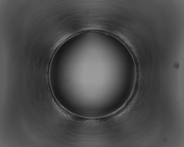 X0000091671137200708301454