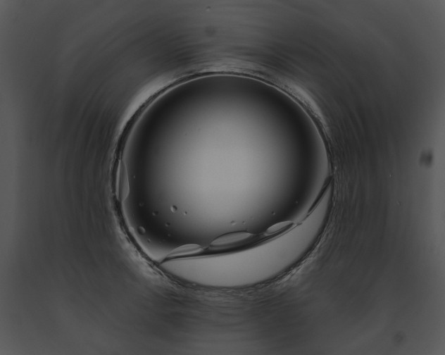 X0000091671138200708301454