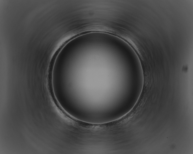 X0000091671139200708301454