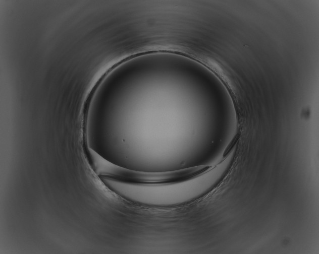 X0000091671140200708301454