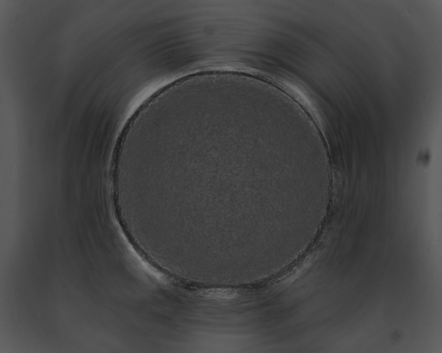 X0000091671141200708301454