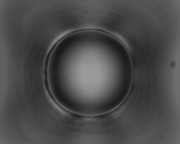 X0000091671142200708301454