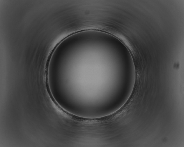 X0000091671143200708301454